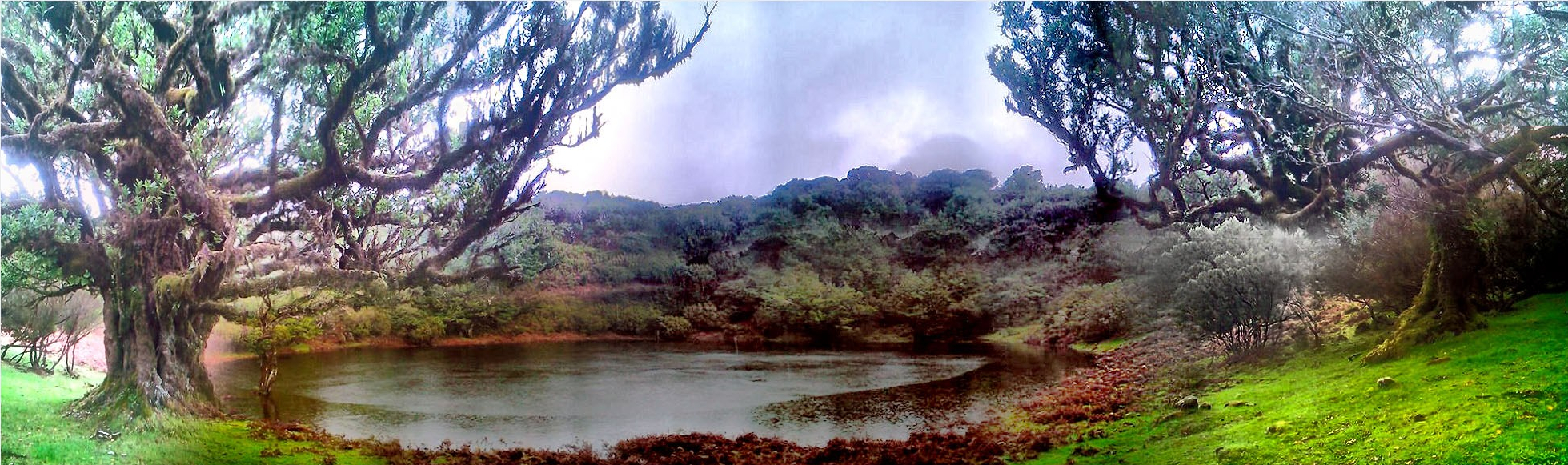 Fanal