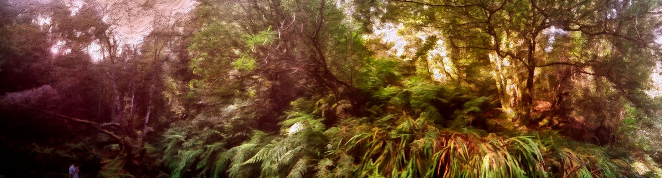 Madeira forest