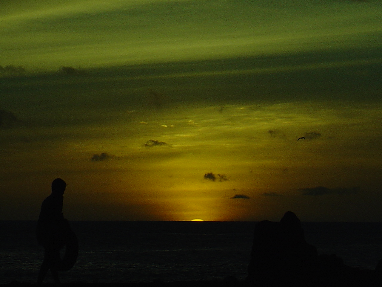 Sunset formosa with person passing and seagul flying
