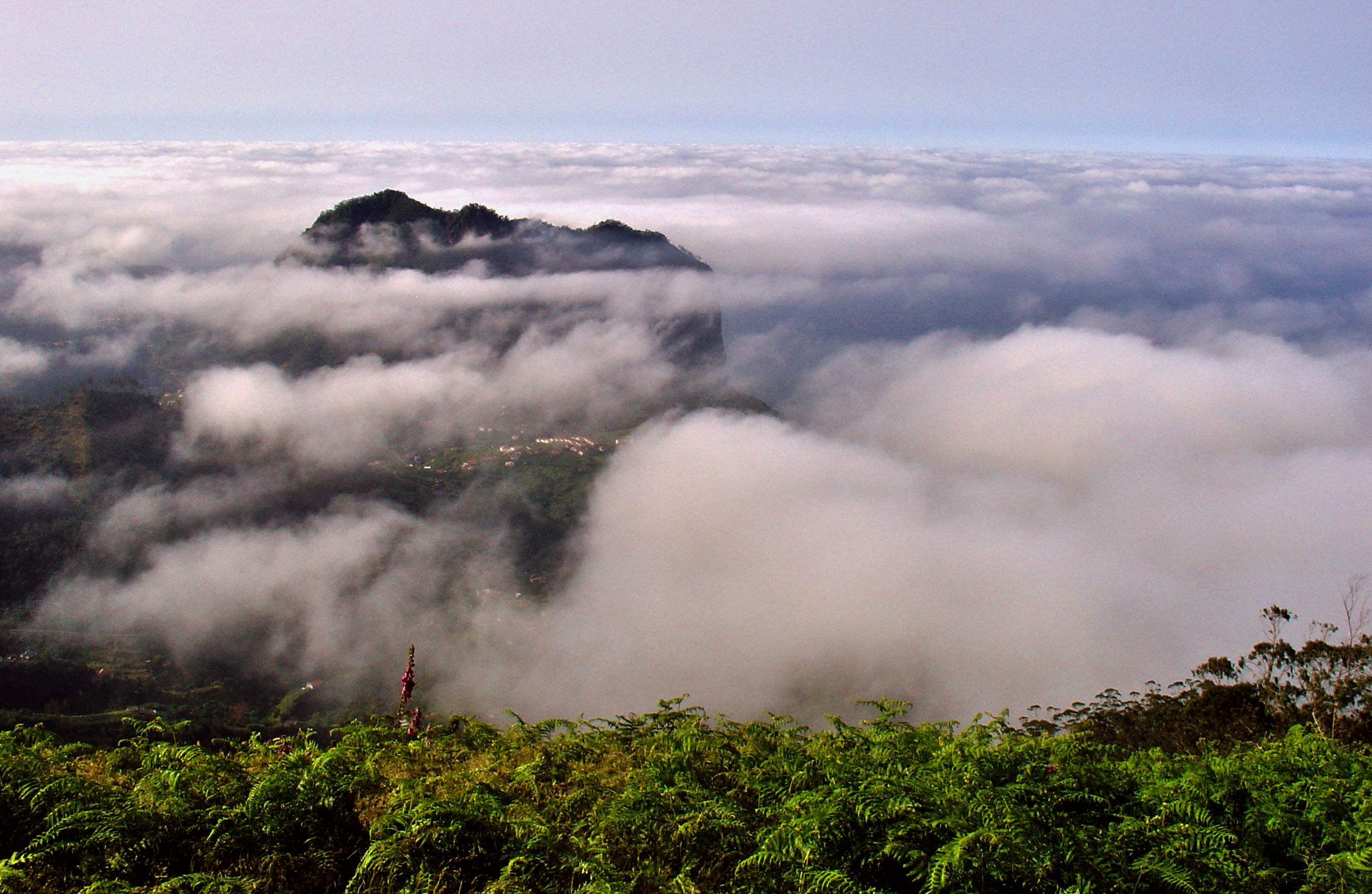 Porto da cruz penha d'Águia in clouds