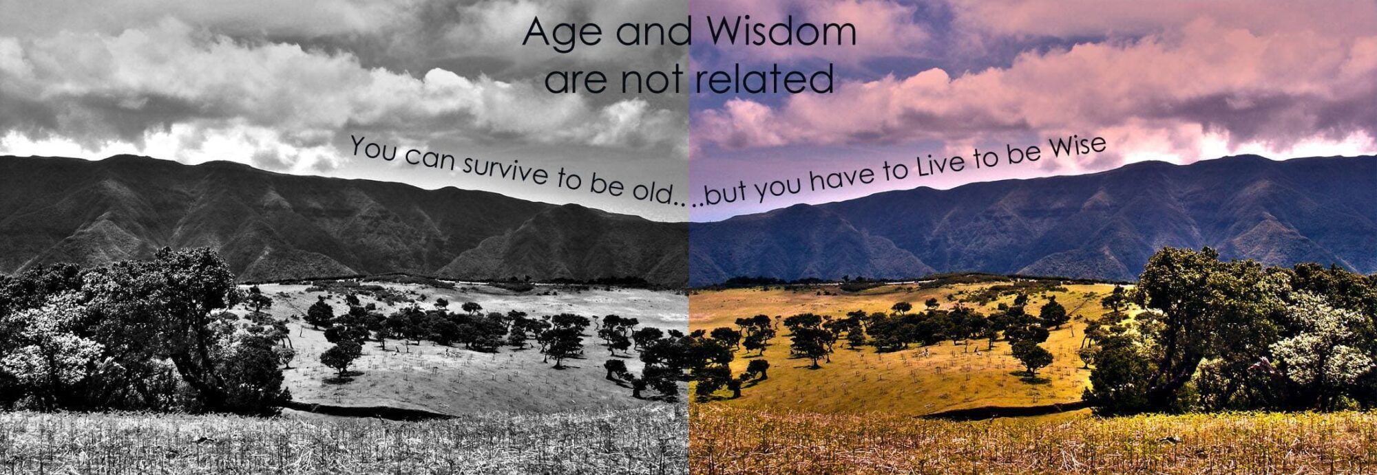 Age and wisdom