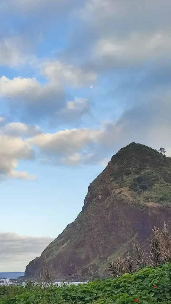 Porto da Cruz 1-12-25_8