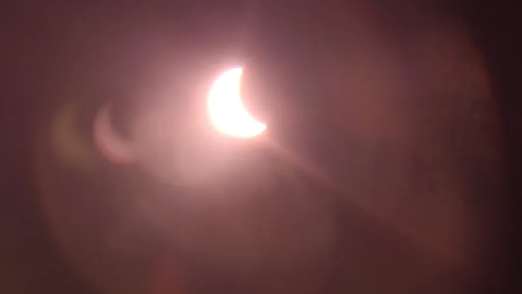 1000452337