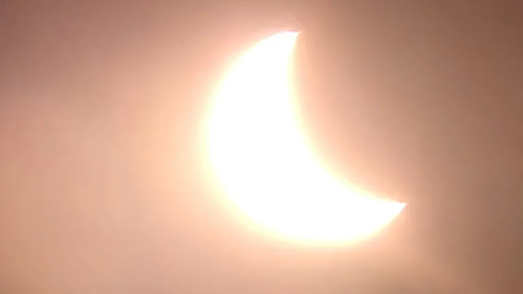 1000452341